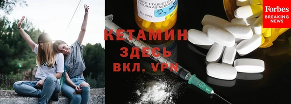 сатива Балахна