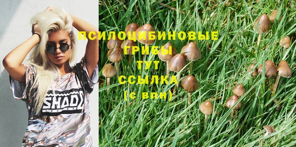 прущие крисы Баксан