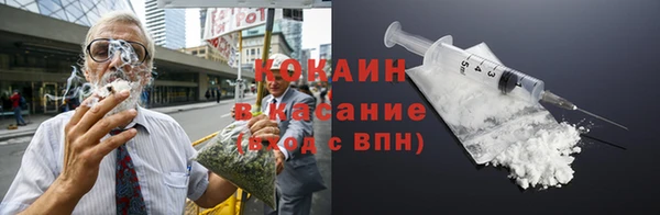 сатива Балахна