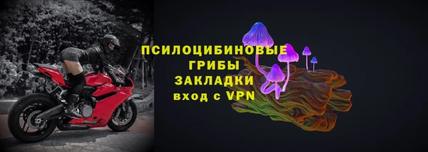 сатива Балахна