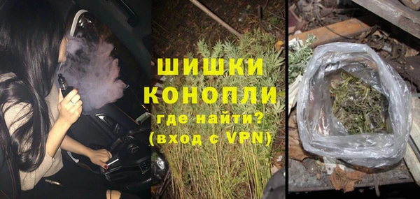 сатива Балахна