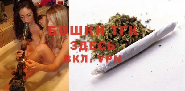 сатива Балахна