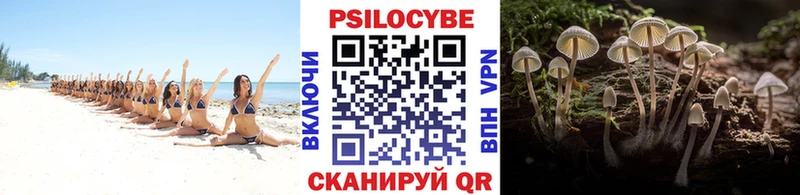 darknet какой сайт  Бакал  Галлюциногенные грибы Psilocybine cubensis 